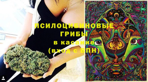 соль ск Абдулино