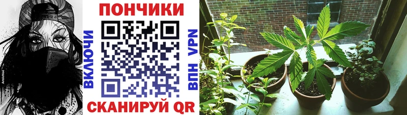 Каннабис Ganja Альметьевск